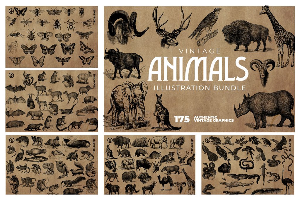 vintage-animals-illustration