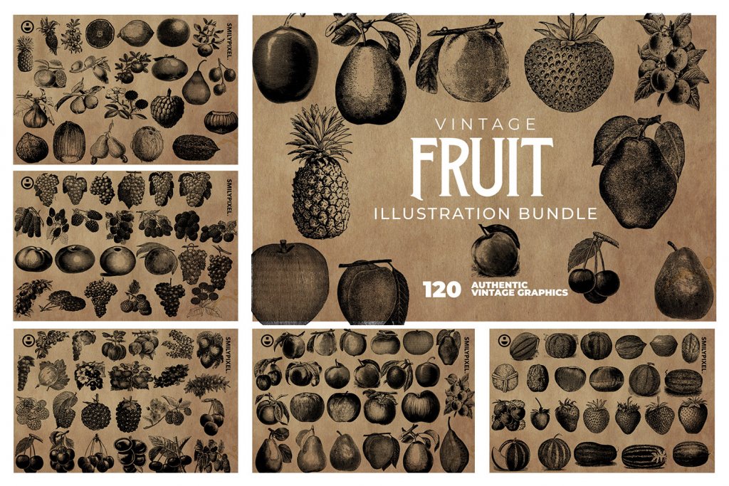 vintage-fruit-illustration