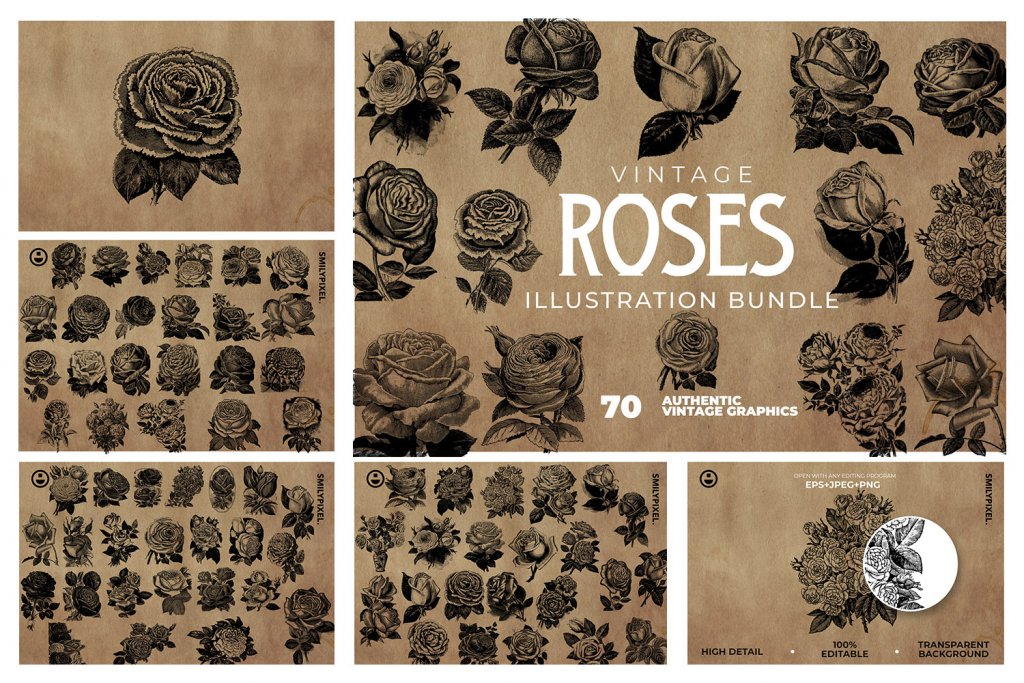 vintage-roses-illustration