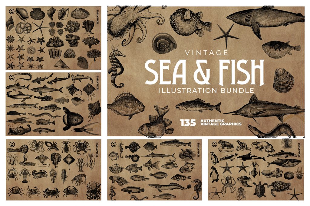 vintage-sea-fish-illustration