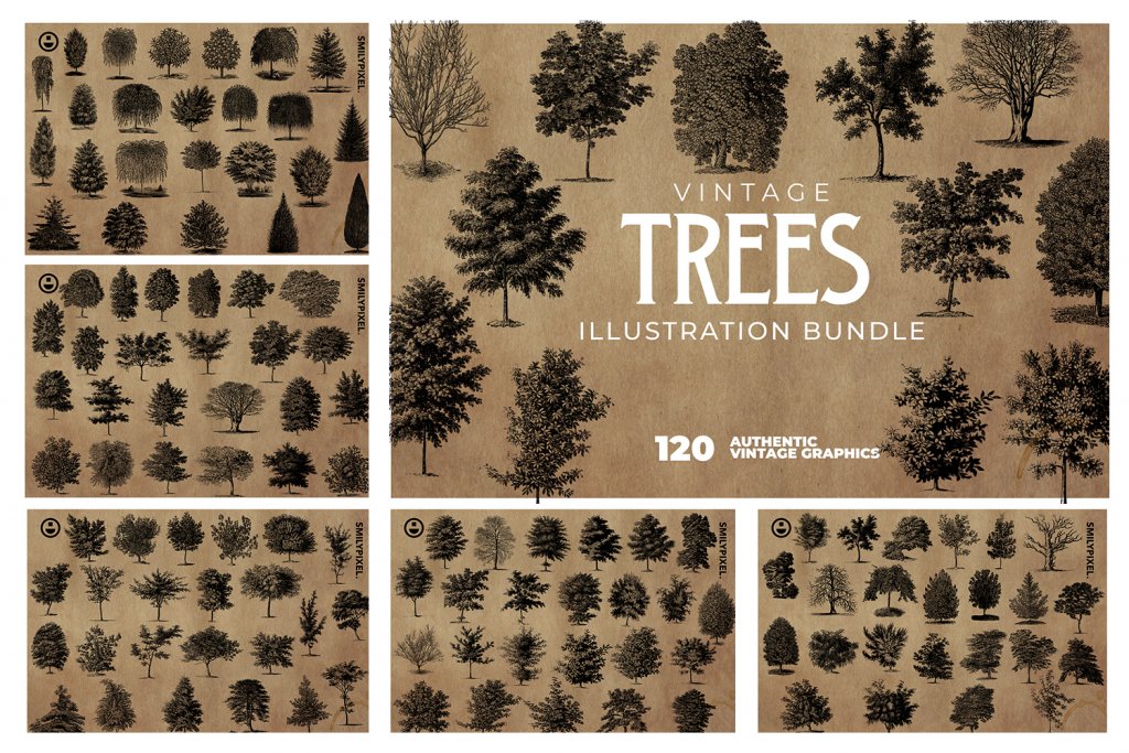 vintage-trees-illustration