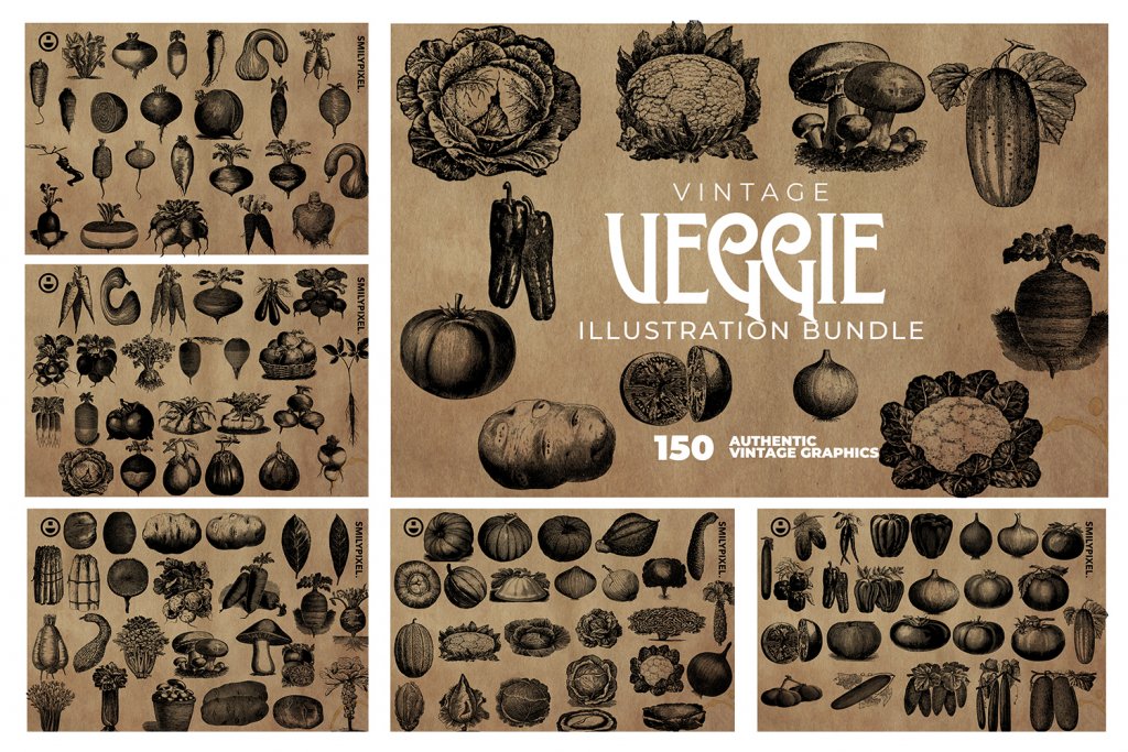 vintage-veggie-illustration
