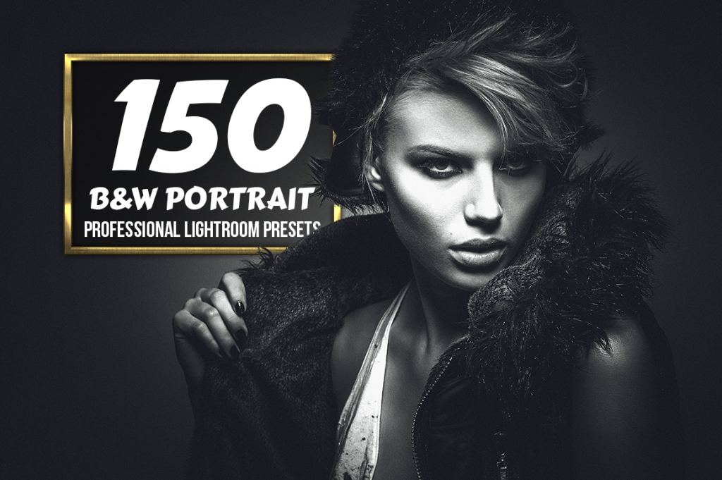 A preview image of the B&W Portrait Professional Lightroom Presets included in the bundle