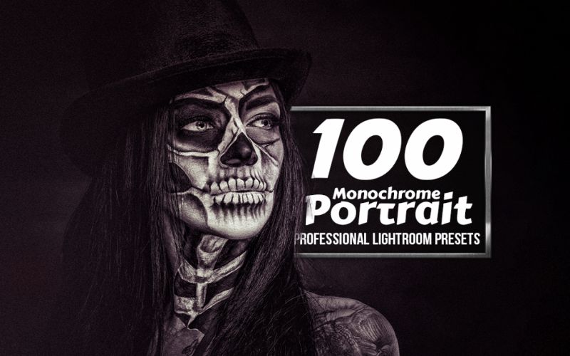 A preview image of the Monochrome Portrait Professional Lightroom Presets included in the bundle