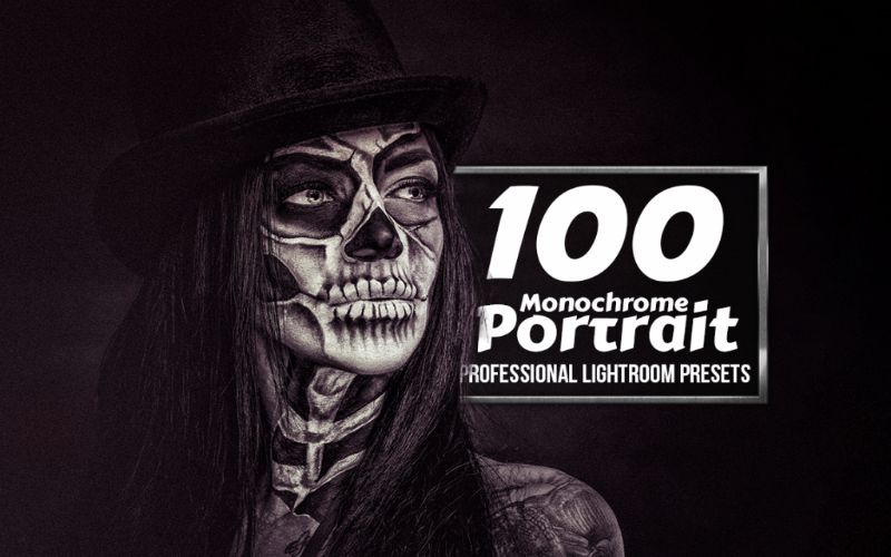 Monochrome Portrait Professional Lightroom Presets