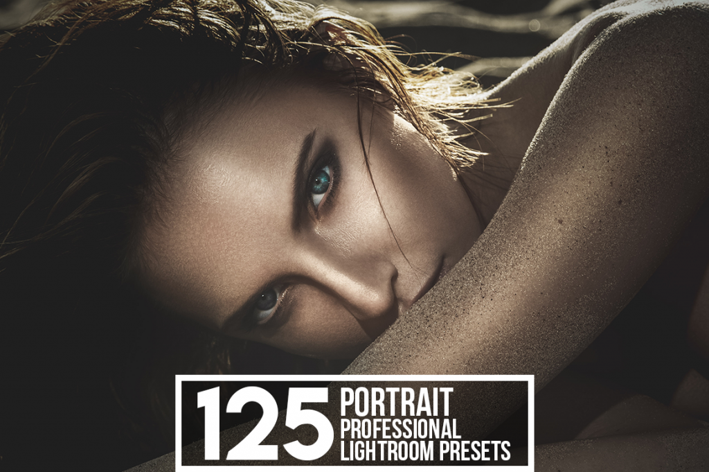 A preview image of the Portrait Professional Lightroom Presets included in the bundle