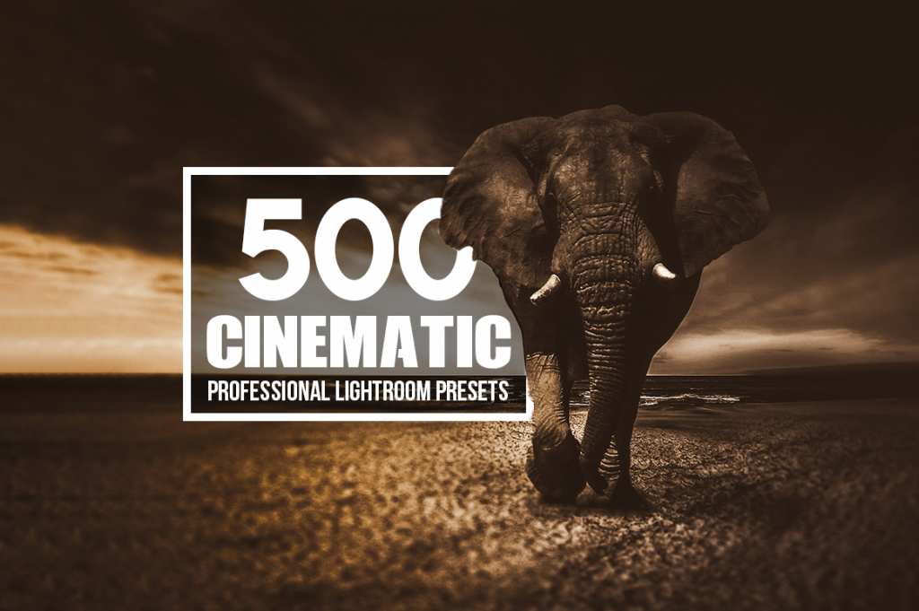 A preview image of the Cinematic Professional Lightroom Presets included in the bundle