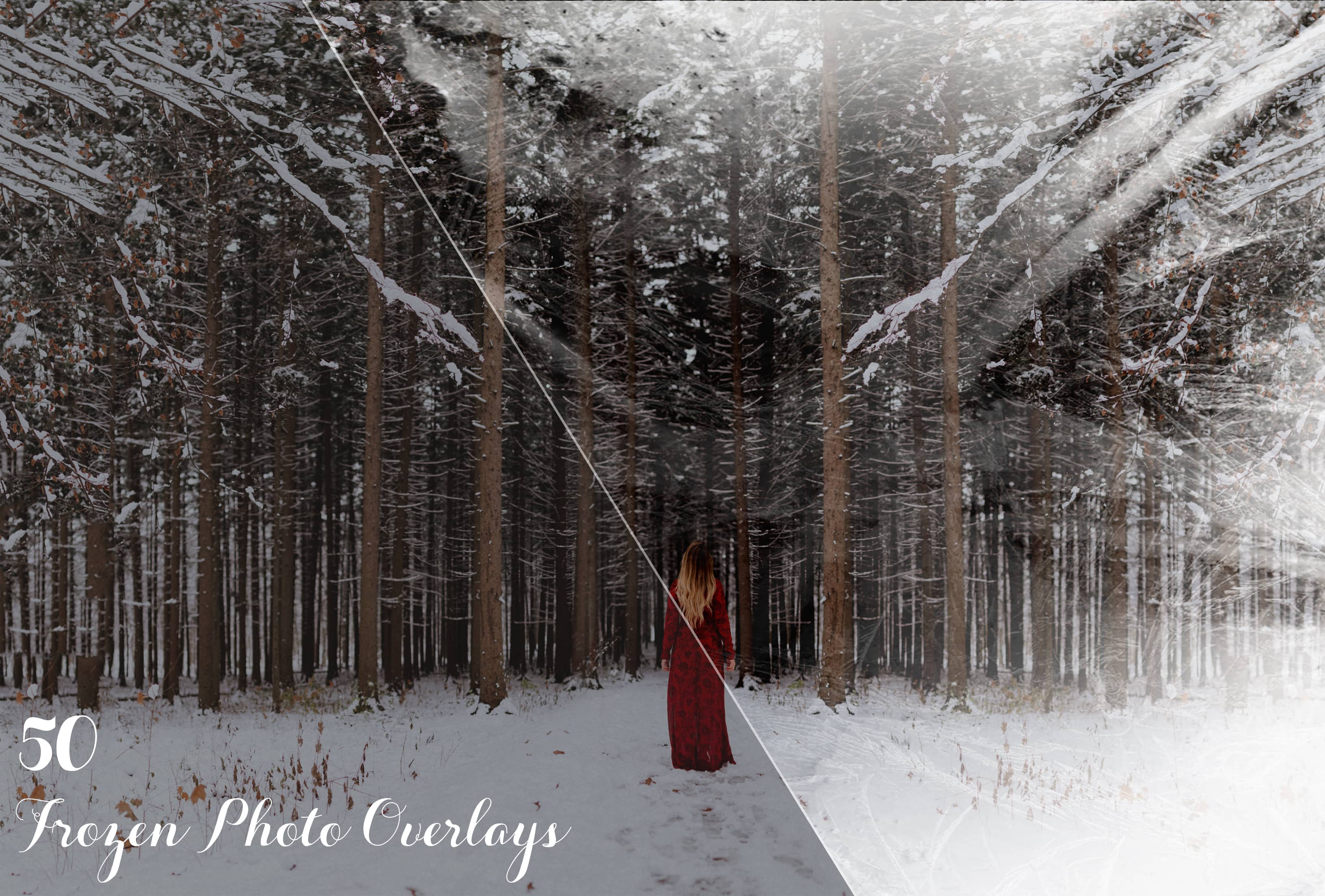 Christmas Overlays Photoshop