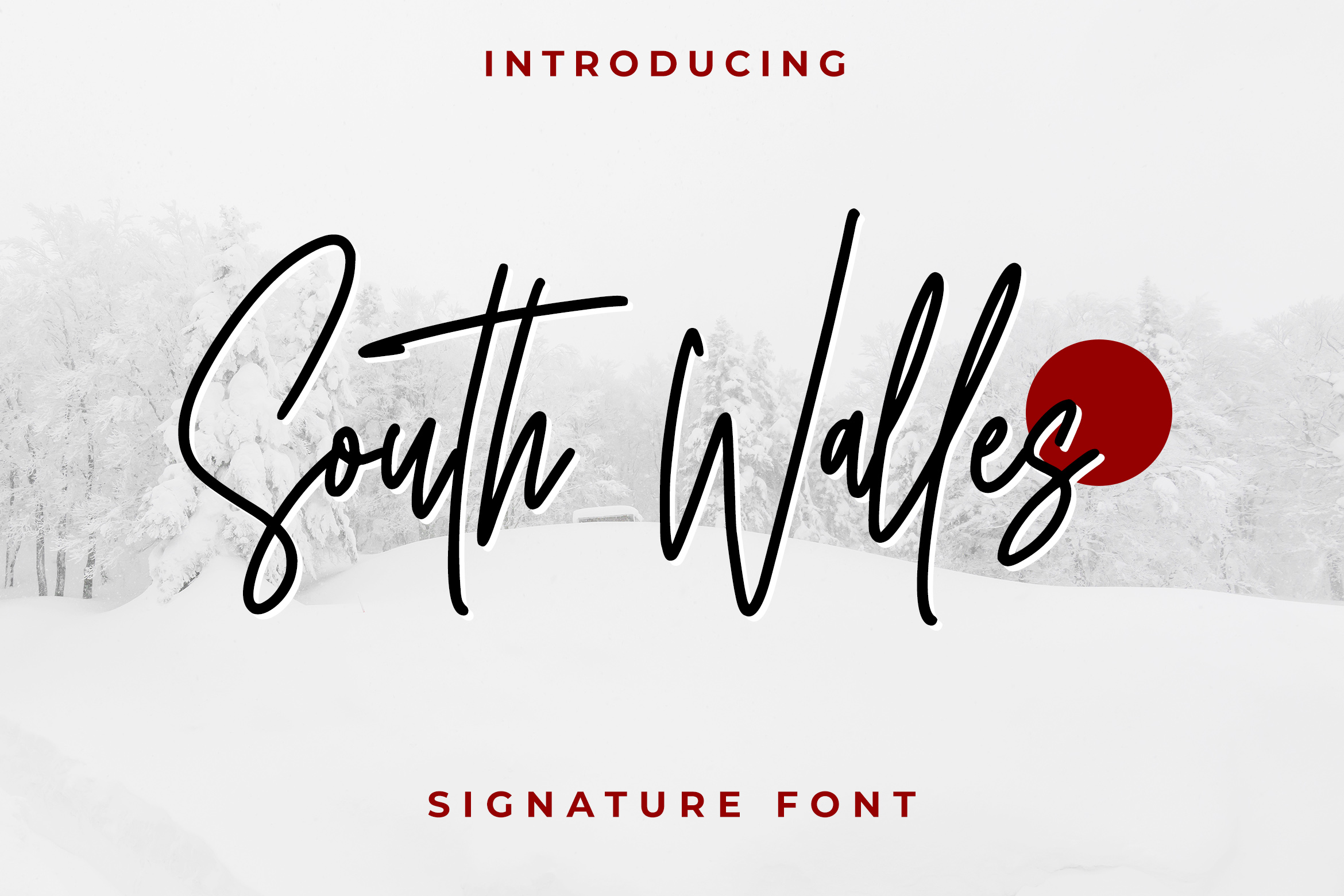 south walles premium typefaces