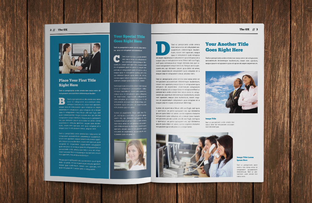 Indesign Newsletter Template