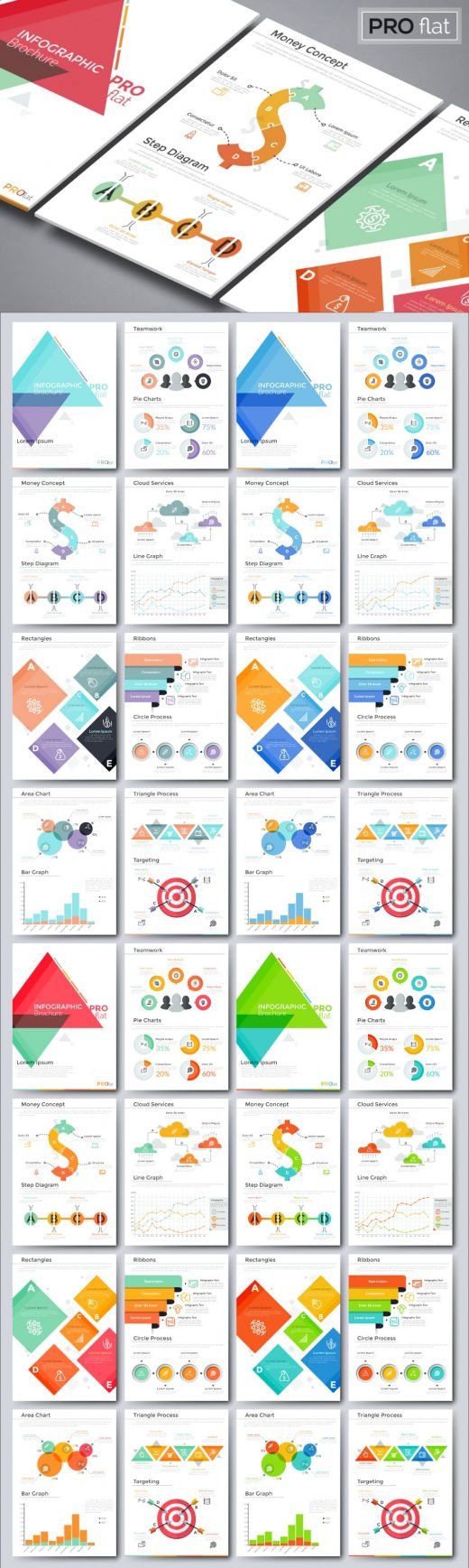 Pro flat infographics vector brochures preview

