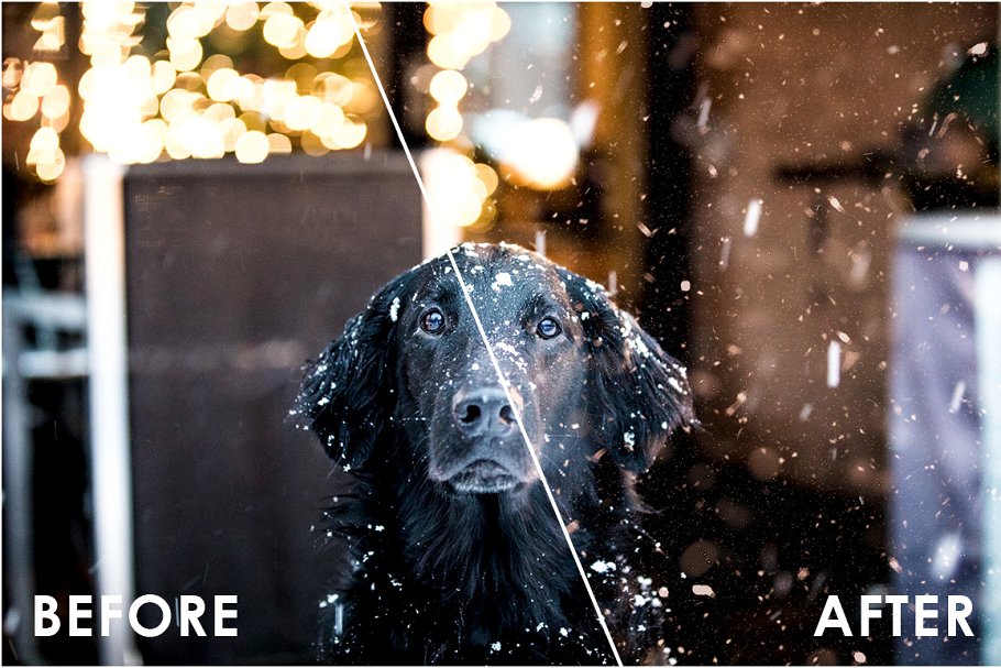 snow overlay transparent
free snow overlay for photoshop
photoshop snow overlay free
snow overlay photoshop free