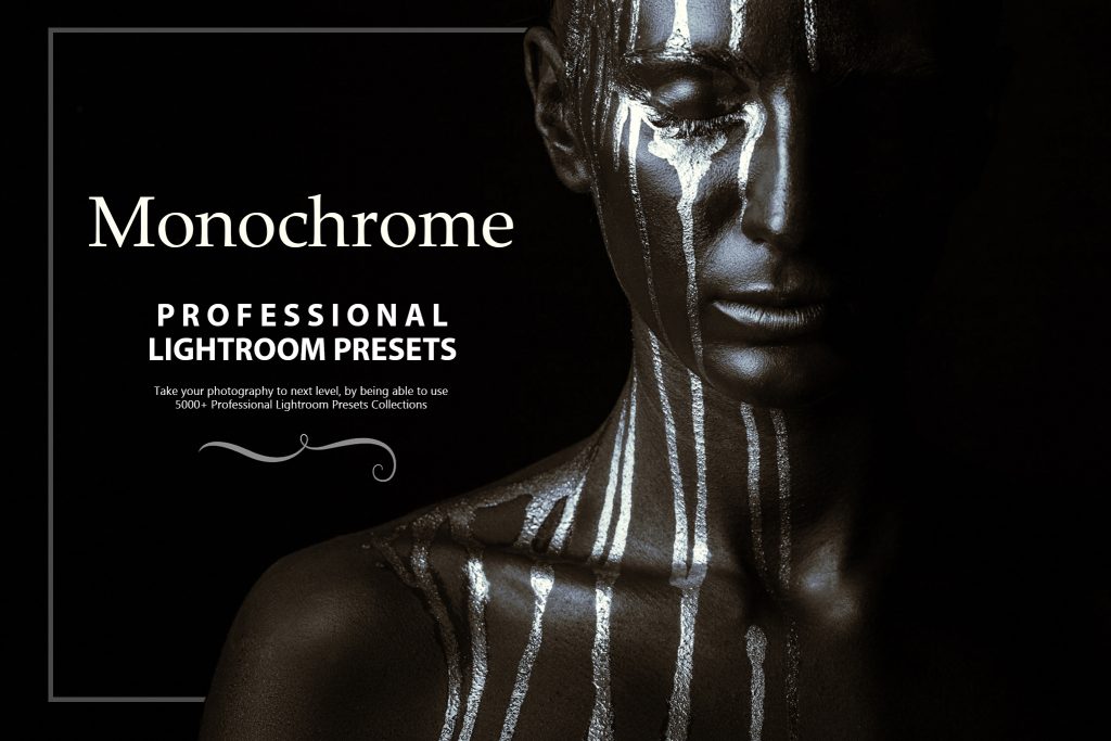 monochrome  Professional Lightroom Presets