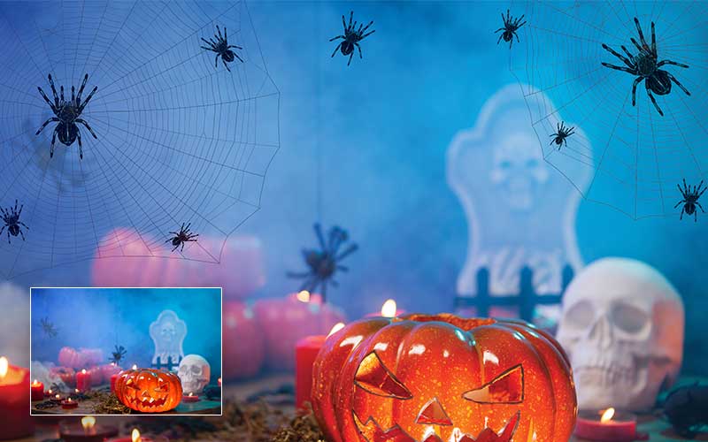 A halloween scene created with a pumpkin and spider webs at the background