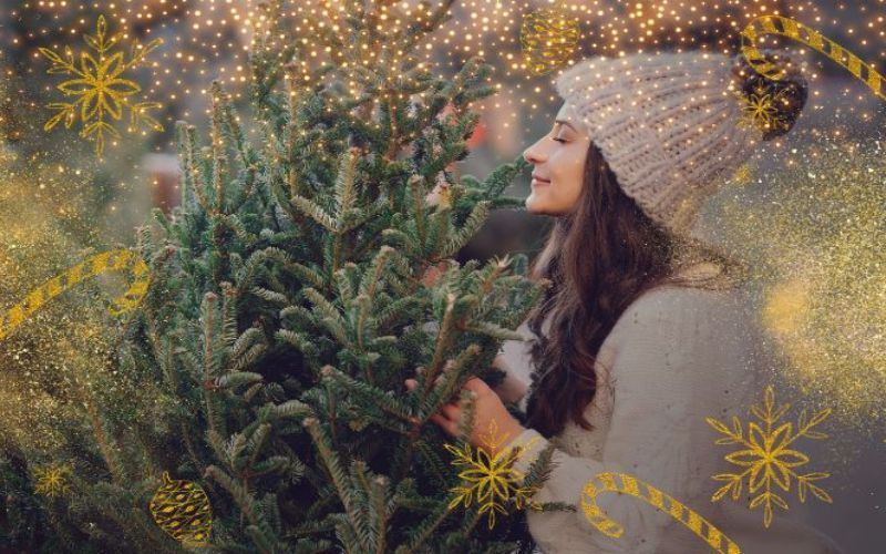 holiday overlays fro chrishtmas