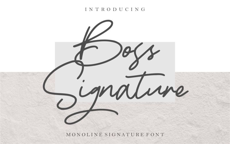 Boss Signature Font included in the mega fonts bundle
