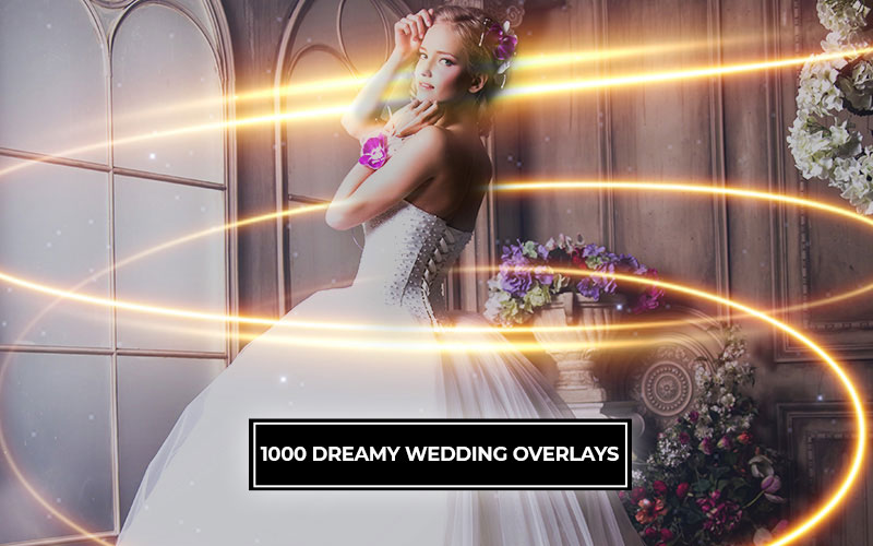 1000 Dreamy Wedding Overlays cover
