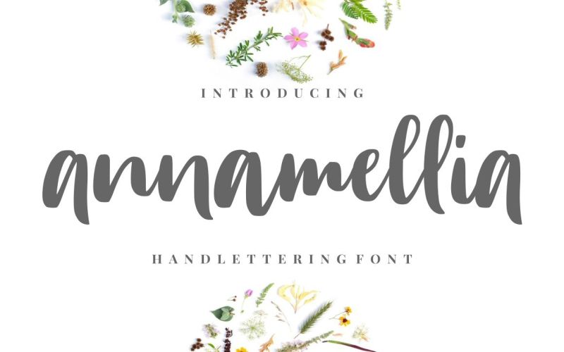 Annamellia Font included in the mega fonts bundle
