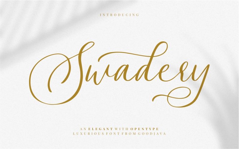 Swadery Font included in the mega fonts bundle
