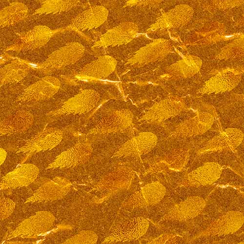 designs on a gold-brown background