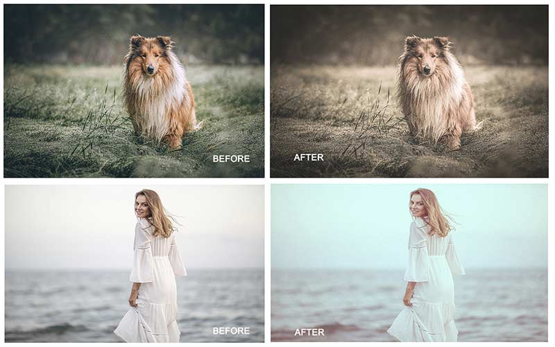 exclusive Photoshop actions