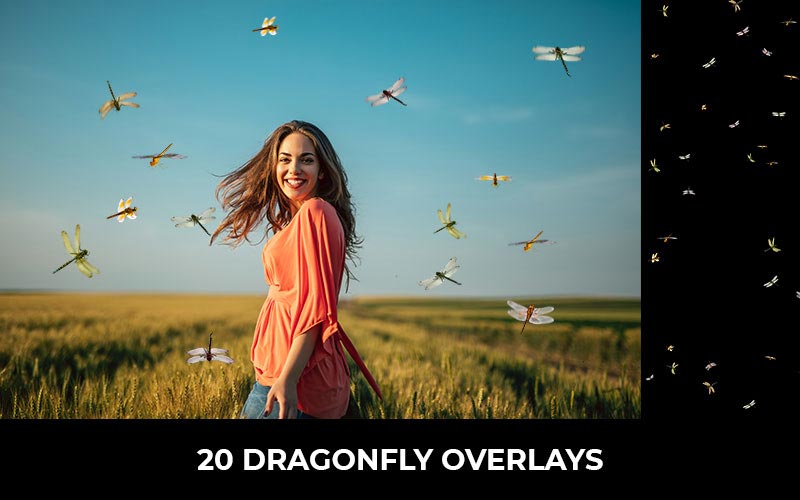 20-Dragonfly_overlays