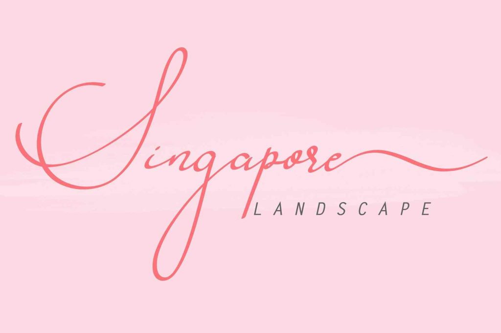 Singapore Landscape - Preview
