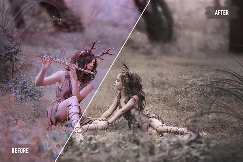 Preview of Fairy Tale Professional LUTS before and after