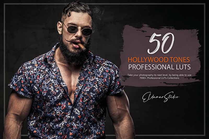 Hollywood Tones Professional LUTs