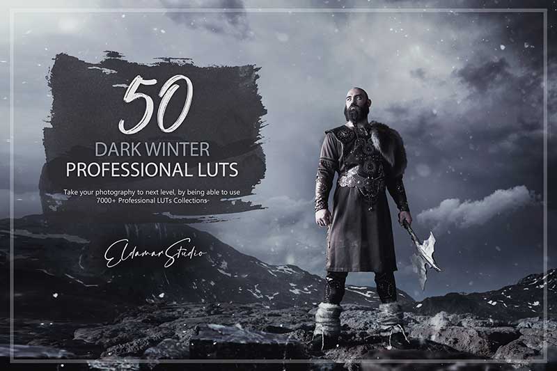 Dark Winter Professional LUTS