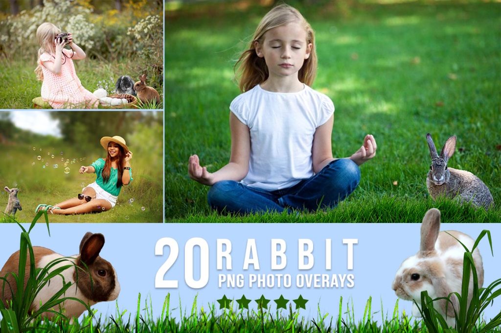 rabbit overlay, animal overlays for photoshop