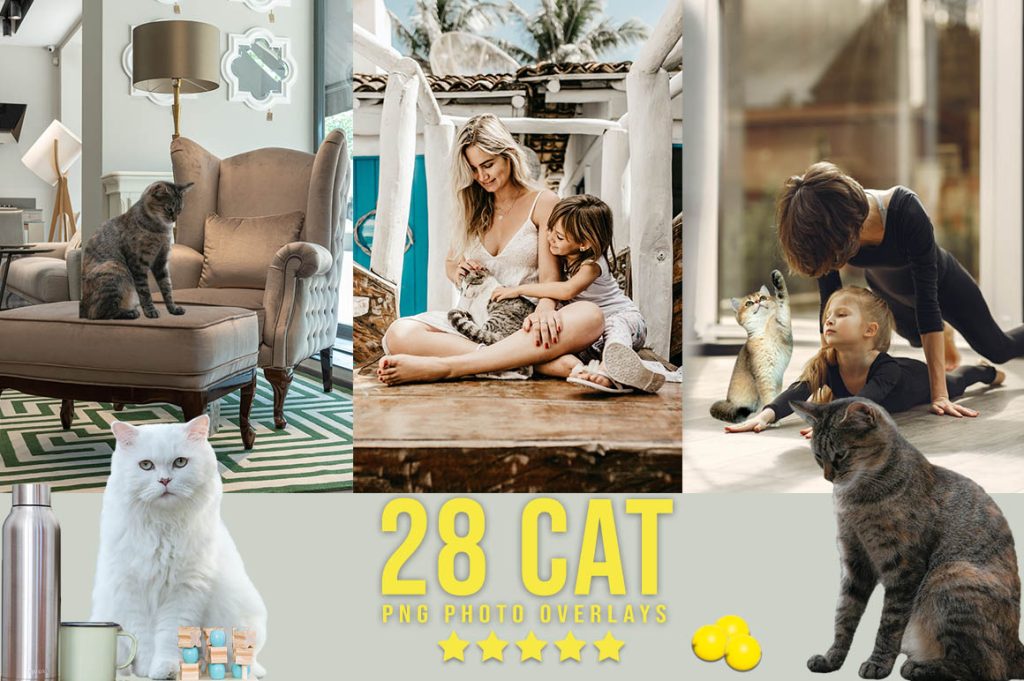 black cat overlay, cat overlay twitch, cute cat overlay, animal overlays for photoshop