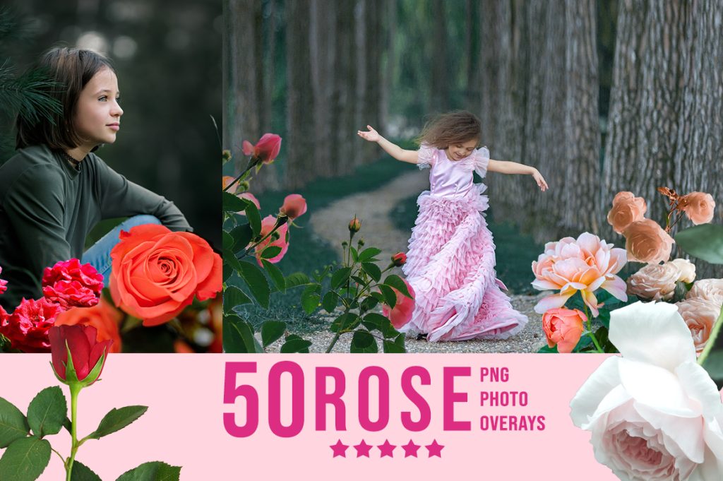 rose overlay png, rose overlay, flower overlay png, flower overlay for edits, flower field overlay, flower petal overlay