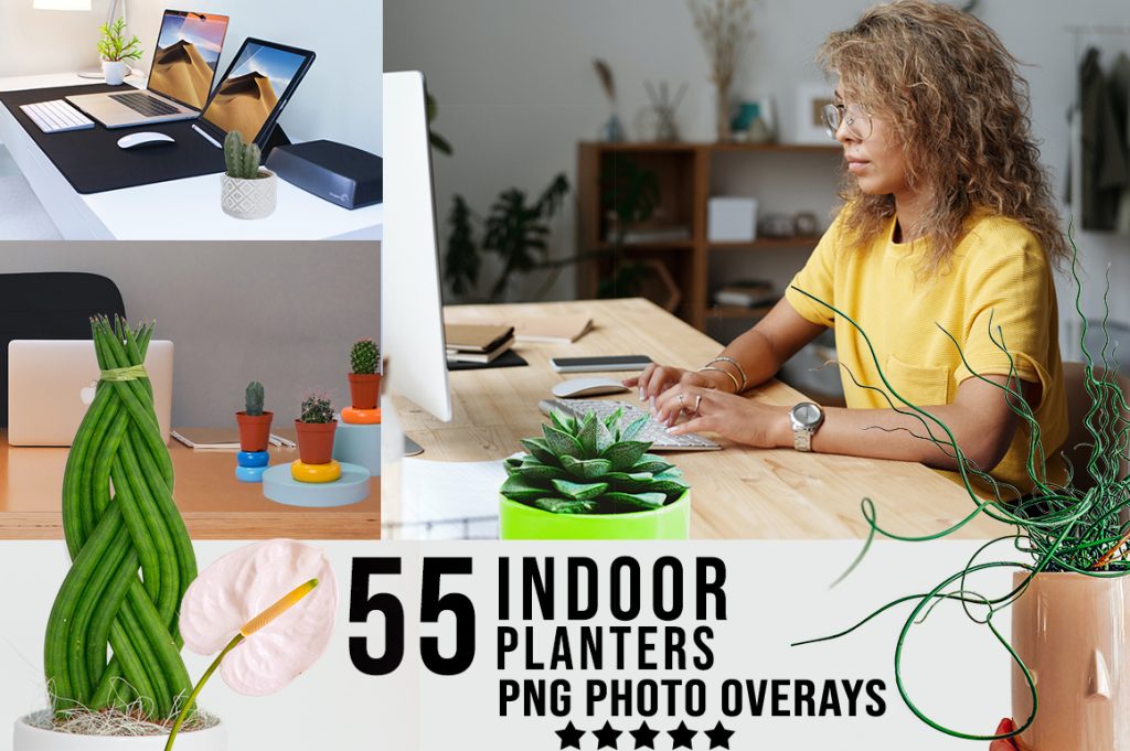 indoor planters photo overlays