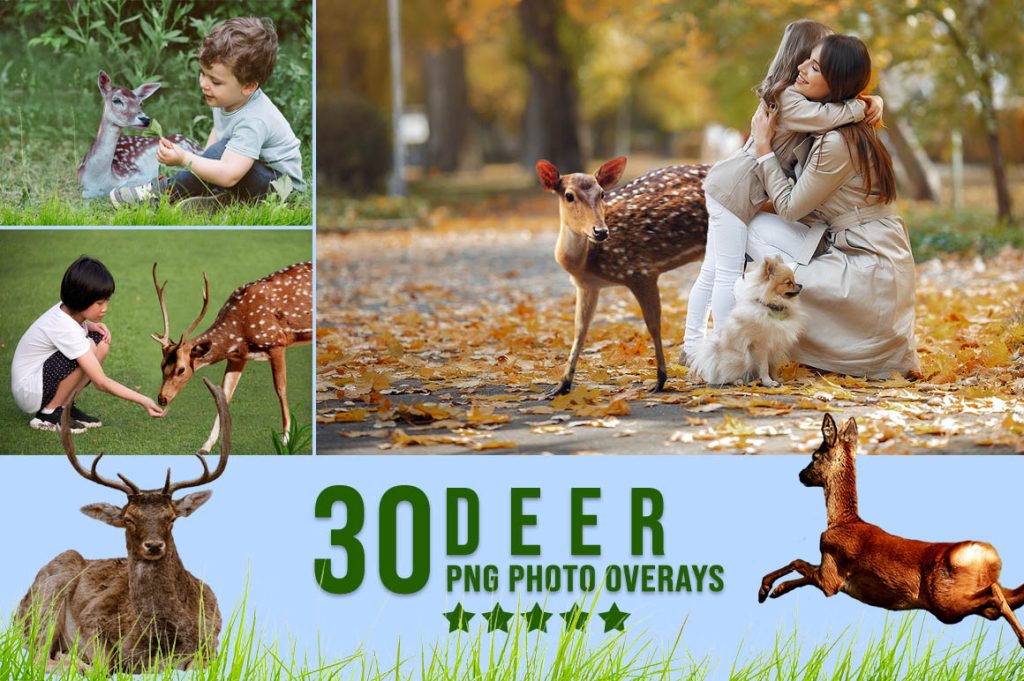 deer overlay, animal overlays for photoshop