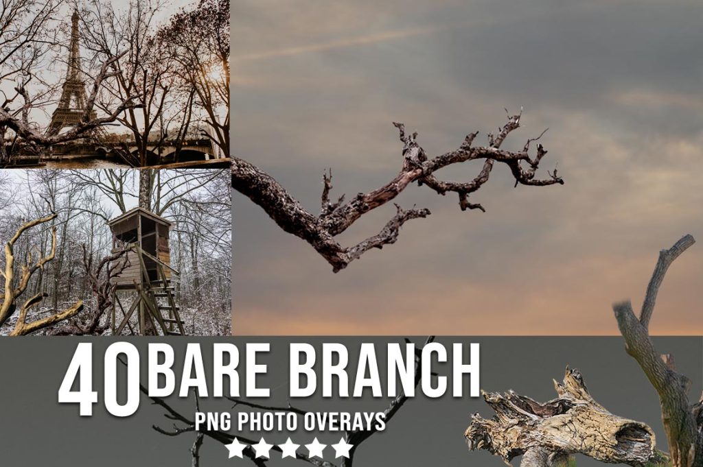 bare branch photo overlays