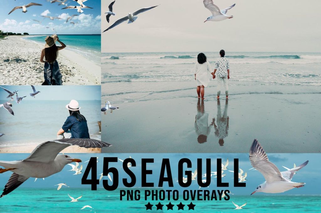 seagull overlays