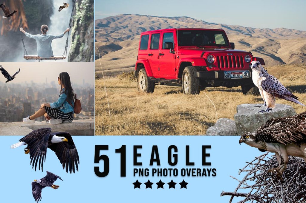 eagle photo overlays
