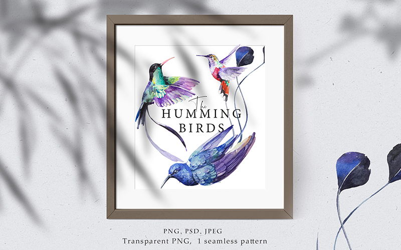 hummingbird transparent png mockup in a photo frame hummingbird transparent png mockup in a photo frame