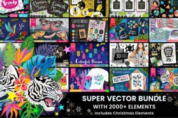 Super Vector Bundle