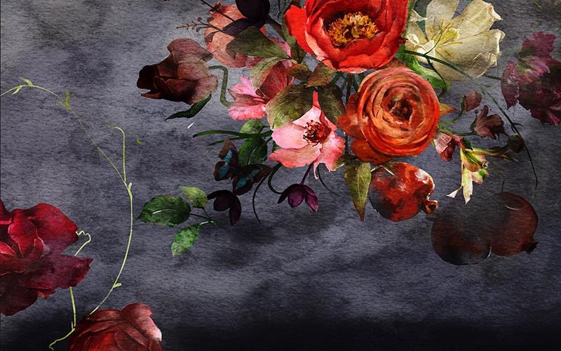 red roses preview on a black background red roses preview on a black background