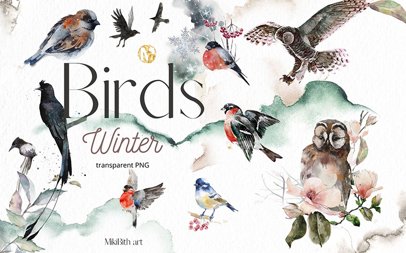 winter birds transparent png feature image winter birds transparent png feature image