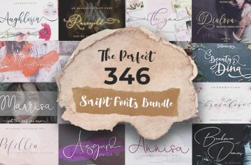 346 Gorgeous fonts bundle