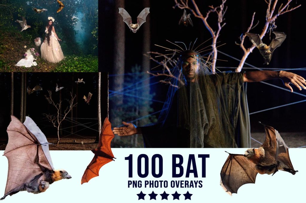 Bat Photo Overlay PNG