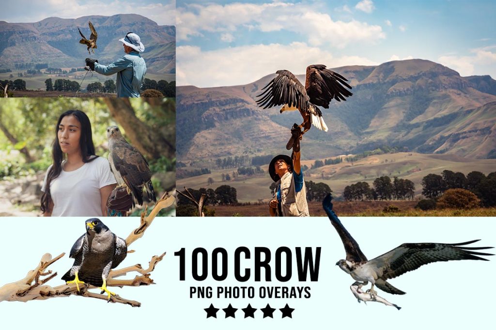 Crow Photo Overlay PNG