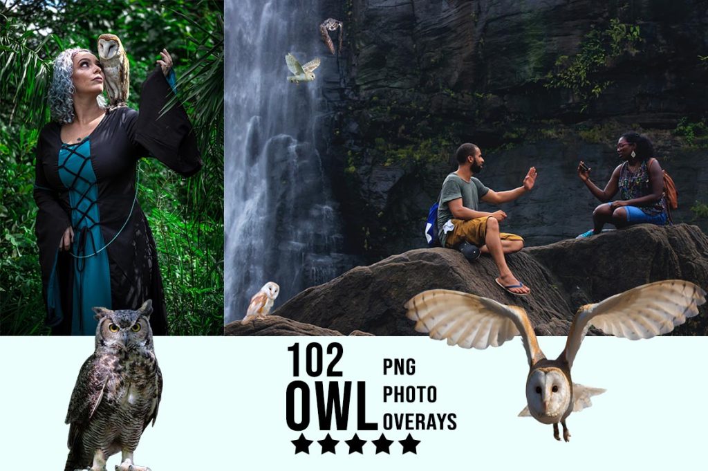 Owl Photo Overlay PNG