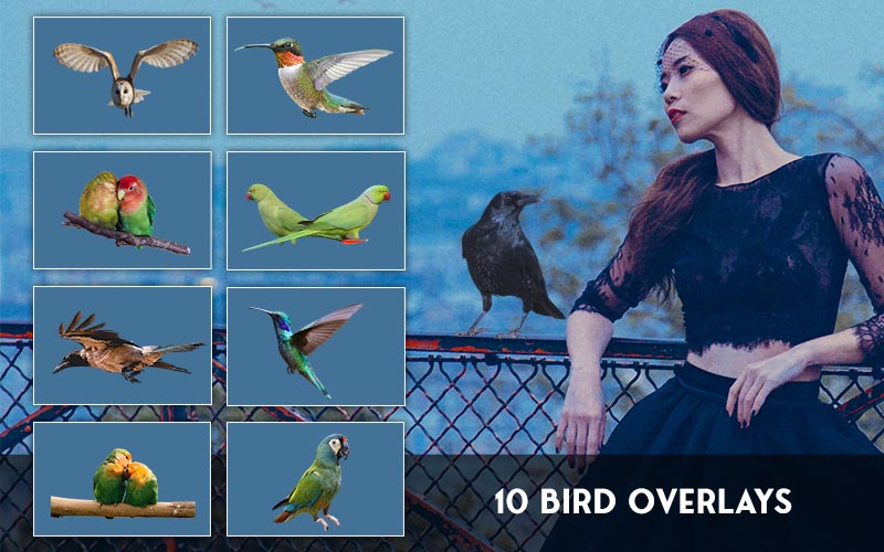 A photo of a girl standing against a railing with a bird in which free bird photo overlays have been used