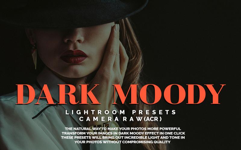Dark Moody Lightroom Presets and Camera Raw ACR