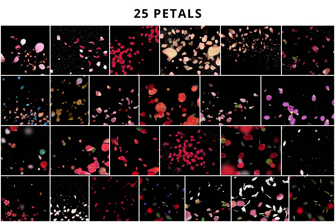 valentine's-overlay-Petal-overlay