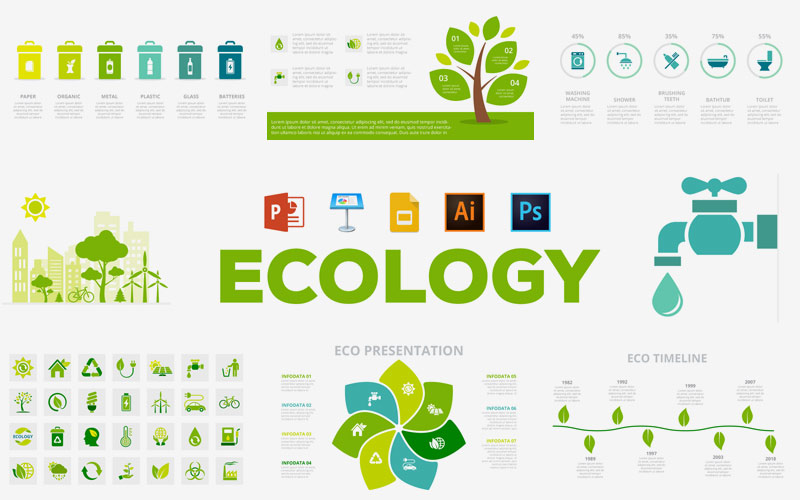 ecology illustrations